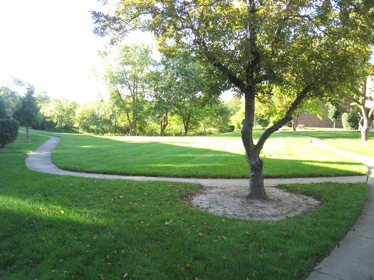 187 PICKWICK Drive #3F, Schaumburg, IL 60193