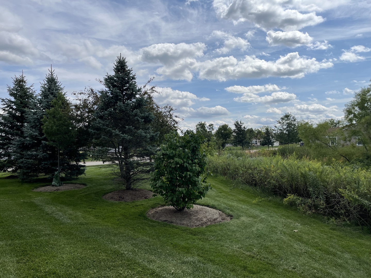 2862 Stoney Creek Drive, Elgin, IL 60124
