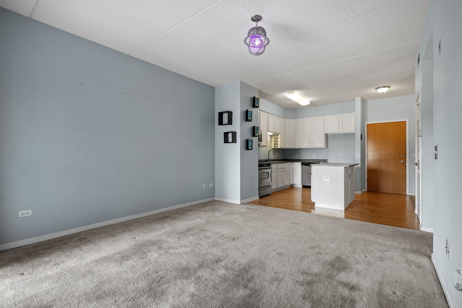 235 N Smith Street #401, Palatine, IL 60067