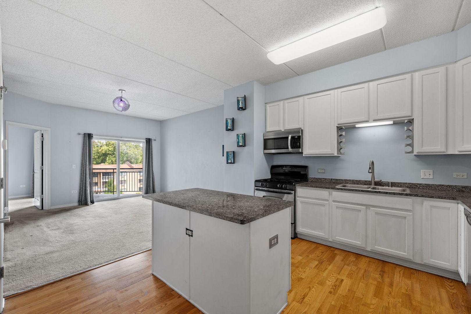 235 N Smith Street #401, Palatine, IL 60067