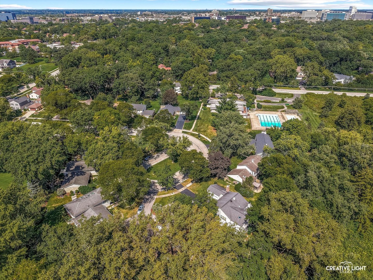 1101 Barberry Court, Downers Grove, IL 60515