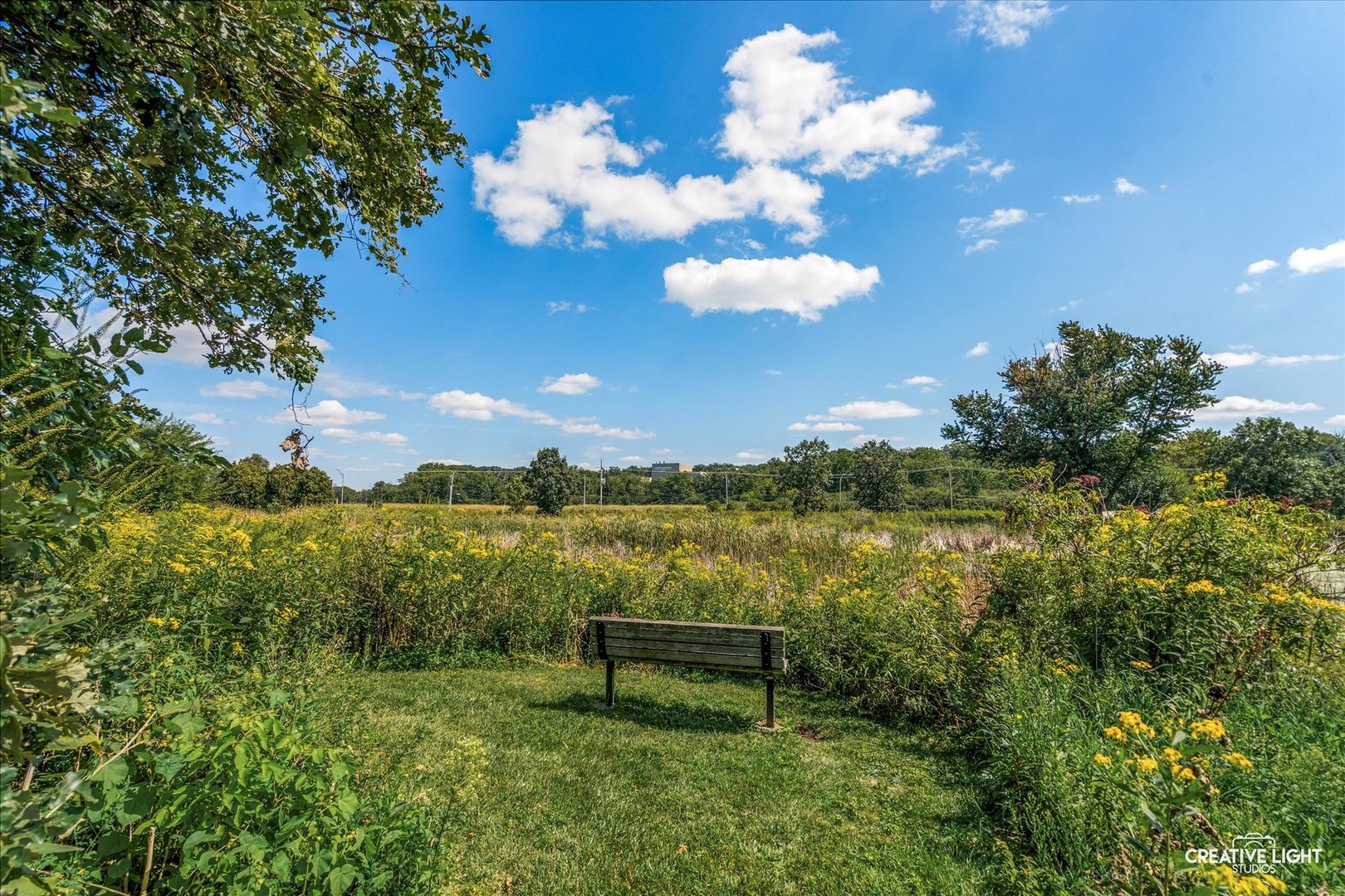 1101 Barberry Court, Downers Grove, IL 60515