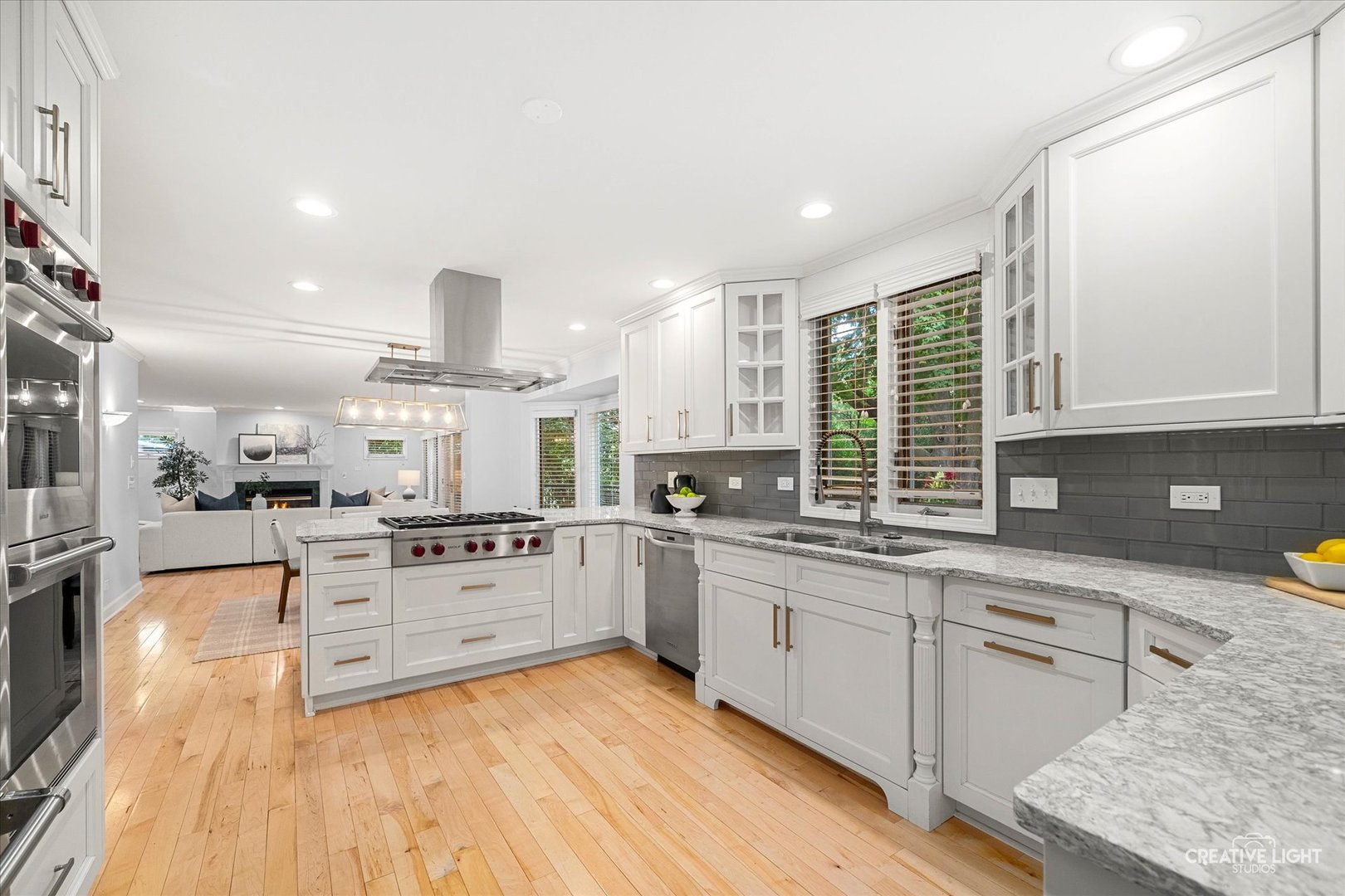 1101 Barberry Court, Downers Grove, IL 60515