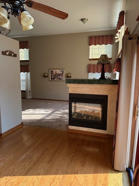 705 Littleton Trail, Elgin, IL 60120