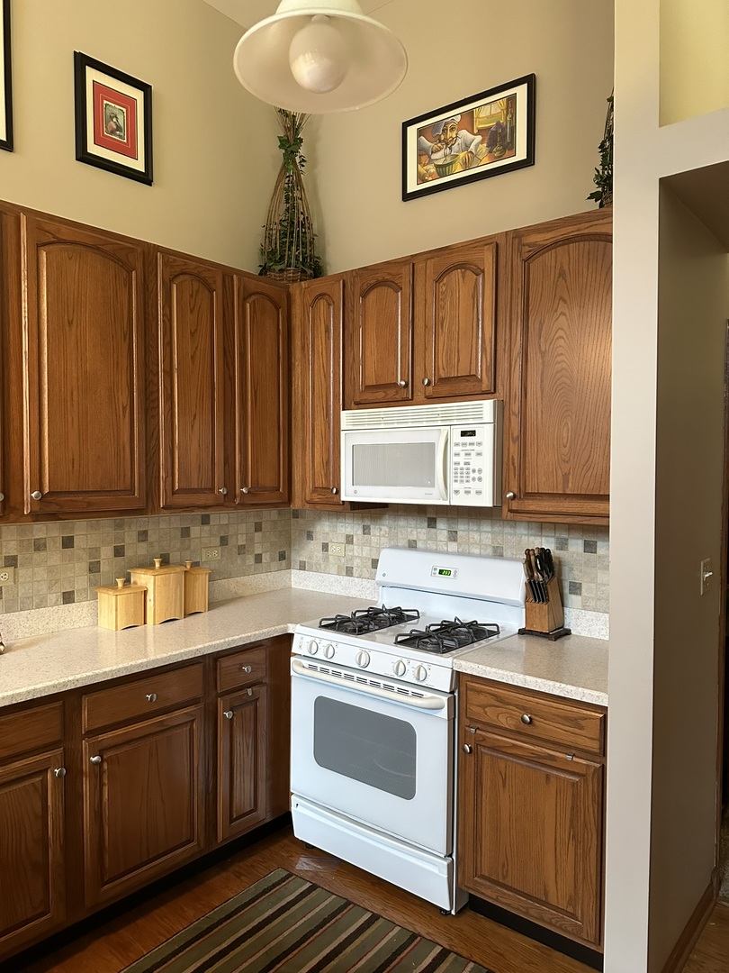 705 Littleton Trail, Elgin, IL 60120