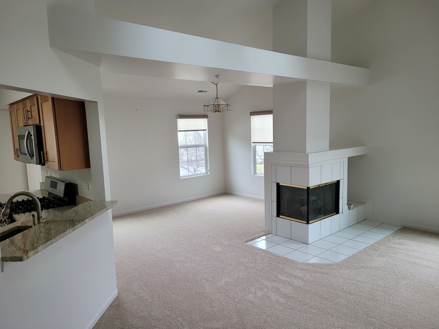 175 Arboretum Drive, Lombard, IL 60148