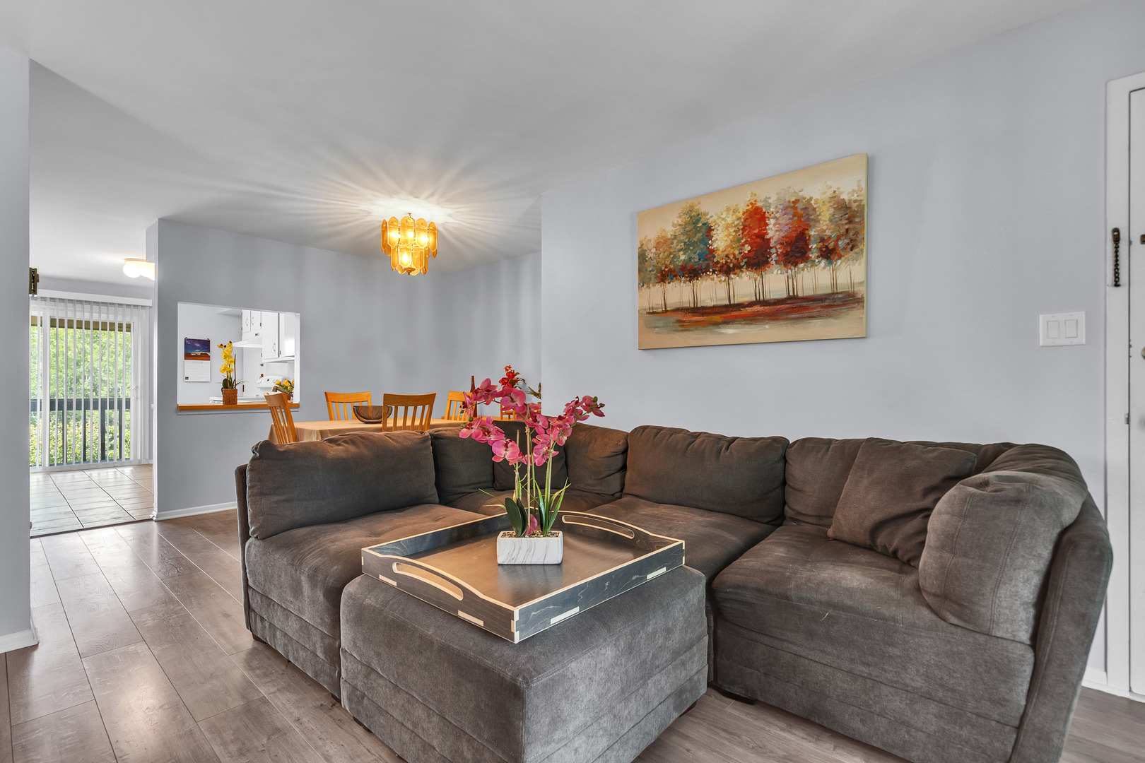 672 Daisy Lane #312, Roselle, IL 60172