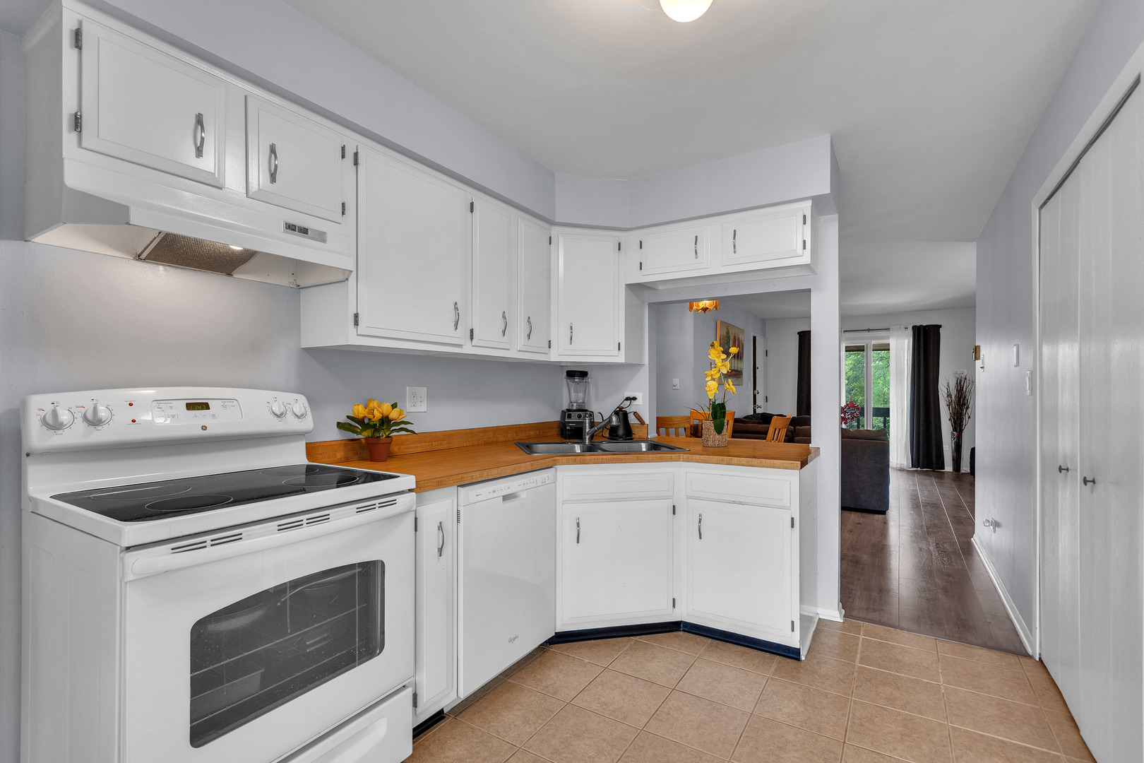 672 Daisy Lane #312, Roselle, IL 60172