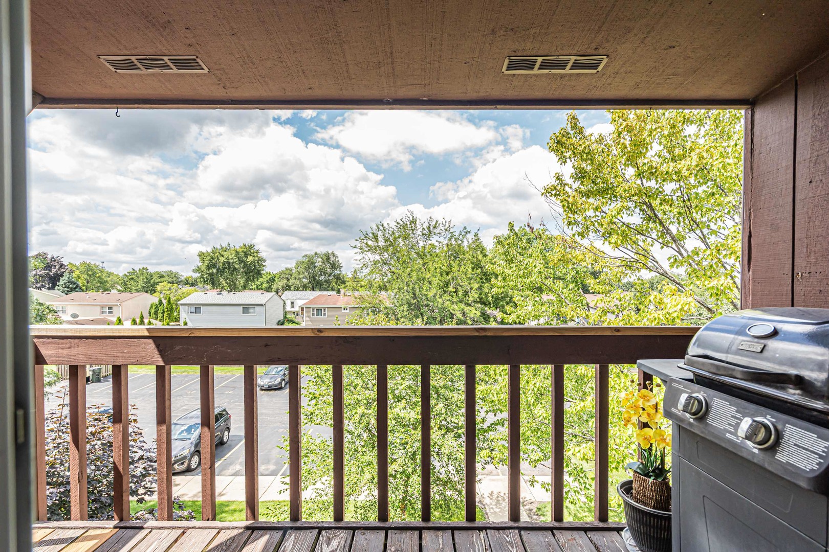 672 Daisy Lane #312, Roselle, IL 60172