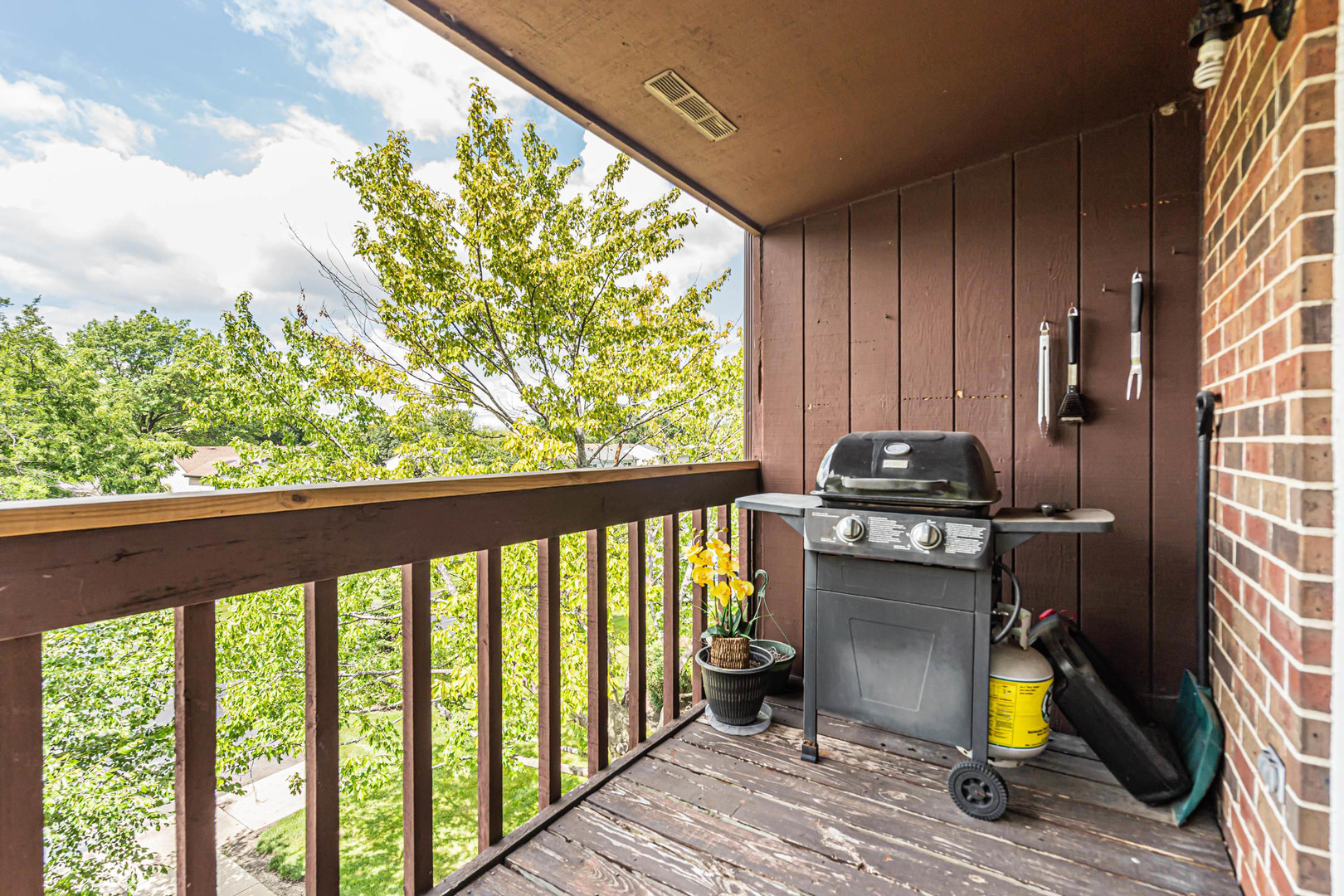 672 Daisy Lane #312, Roselle, IL 60172