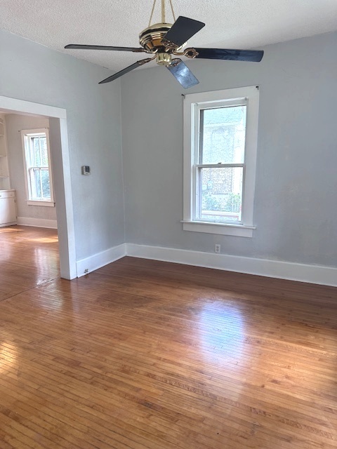 431 N Crystal Street, Elgin, IL 60123