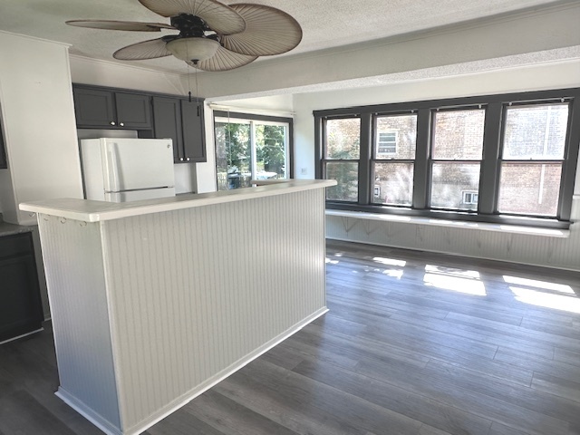 431 N Crystal Street, Elgin, IL 60123