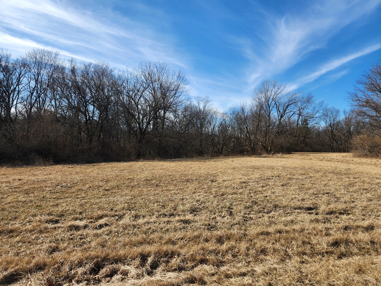 Lot 755 Lake Wildwood Drive, Varna, IL 61375