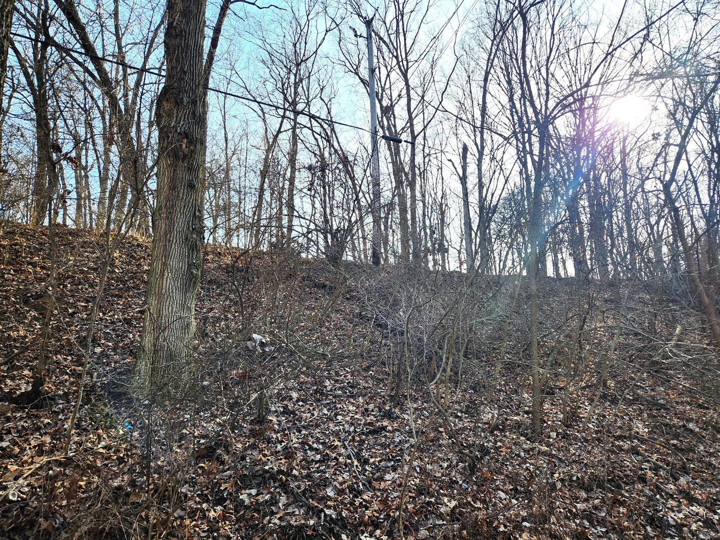 Lot 839 Lake Wildwood Drive, Varna, IL 61375