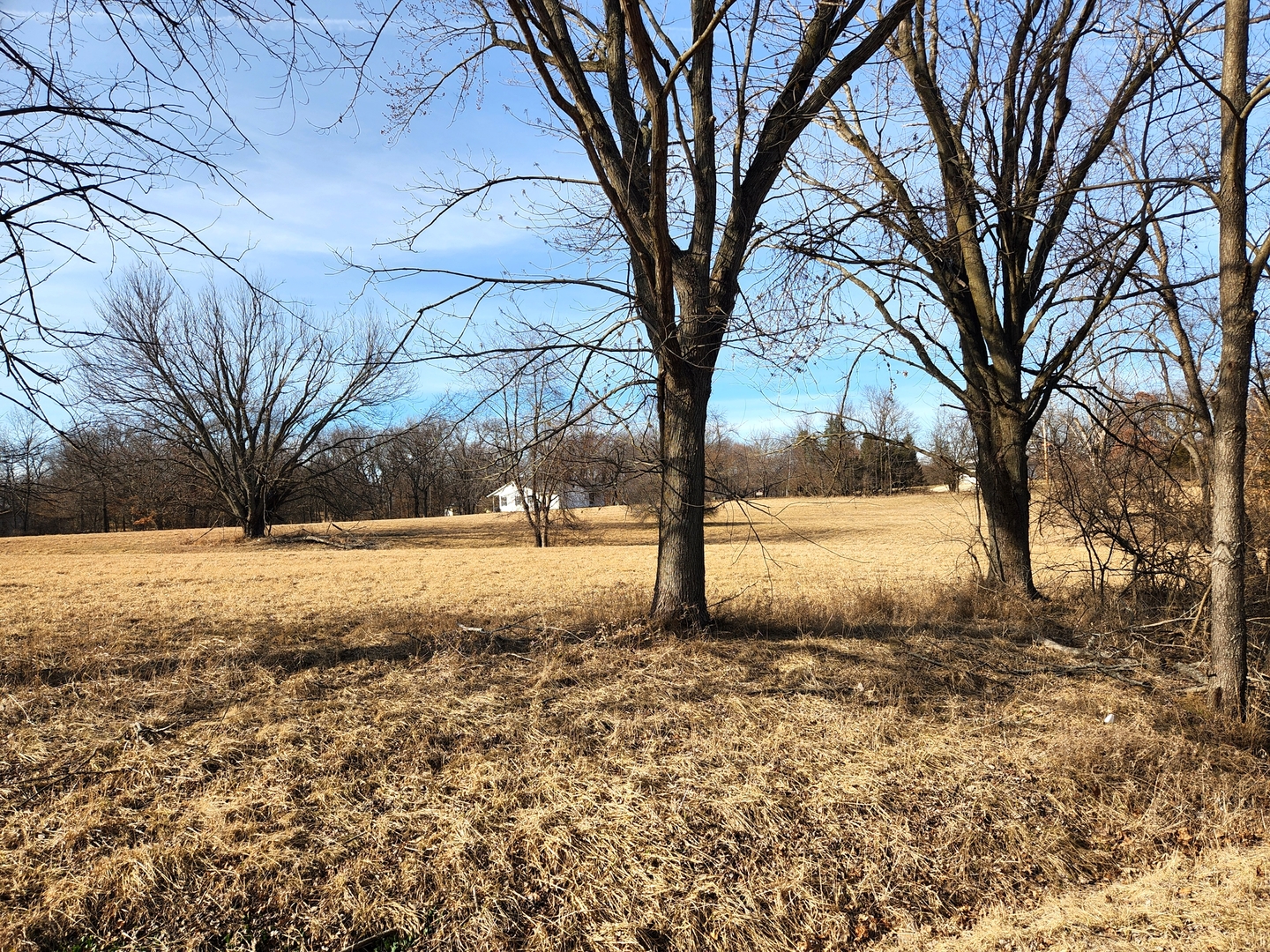 Lot 1542 Key Court North, Varna, IL 61375