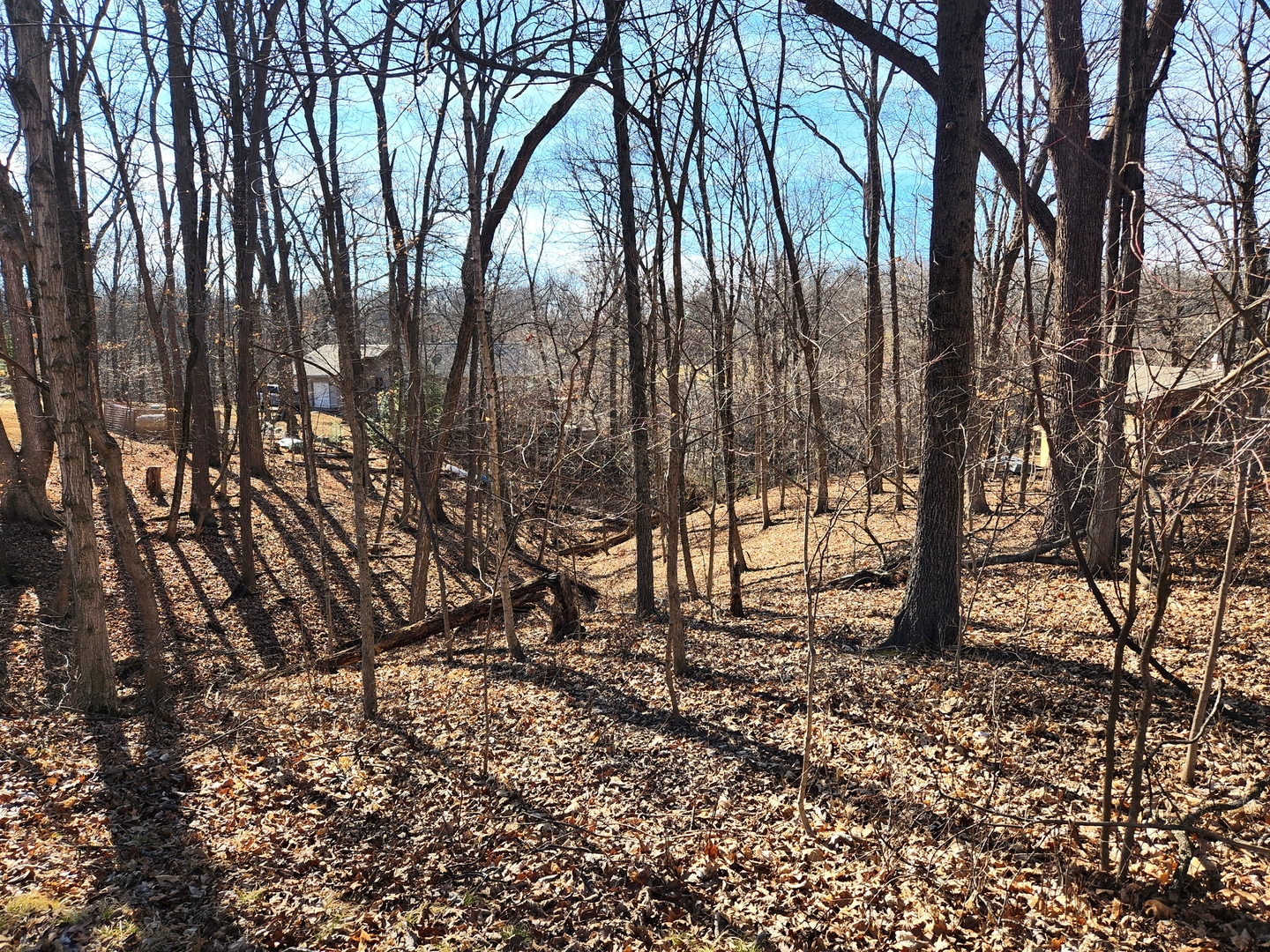 Lot 1673 Lakeside Court, Varna, IL 61375