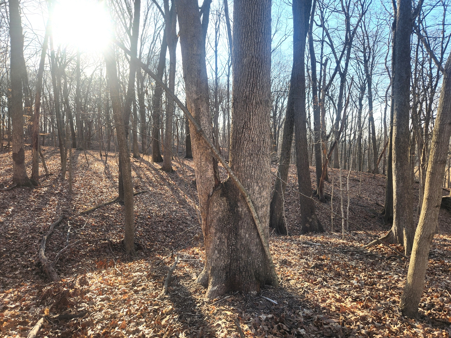 Lot 1764 Sunflower Court, Varna, IL 61375