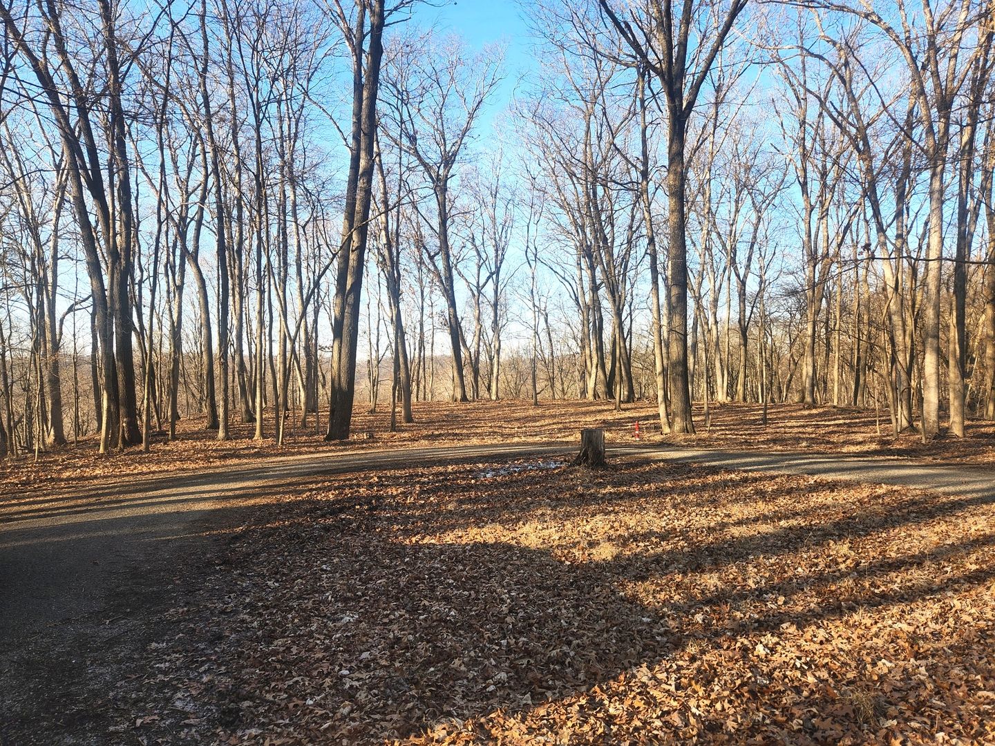 Lot 1764 Sunflower Court, Varna, IL 61375