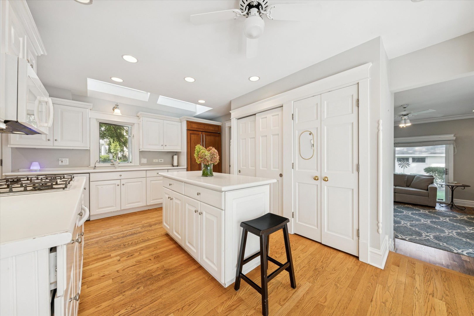 23 N Vine Street, Hinsdale, IL 60521