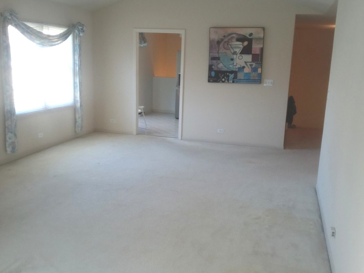 5434 Ashbrook Place #-, Downers Grove, IL 60515