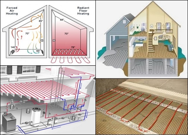650 W Echo Lane, Palatine, IL 60067
