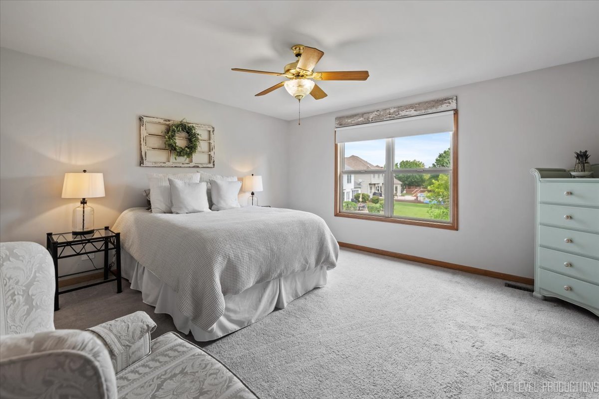 13255 Grill Drive, Plainfield, IL 60585