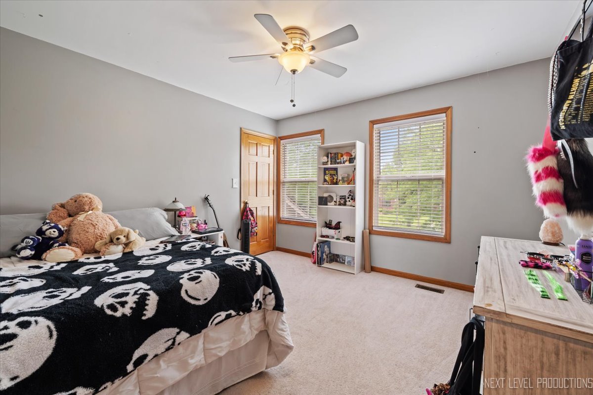 13255 Grill Drive, Plainfield, IL 60585