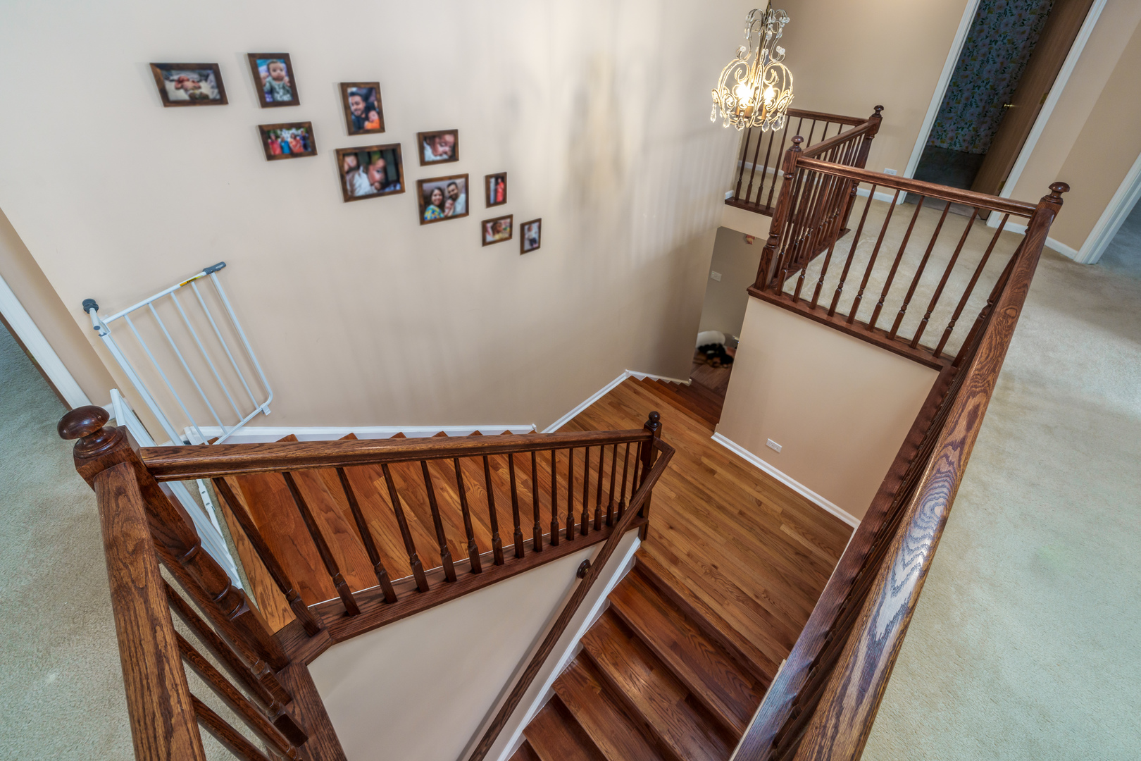 479 W Butterfield Lane, Round Lake, IL 60073