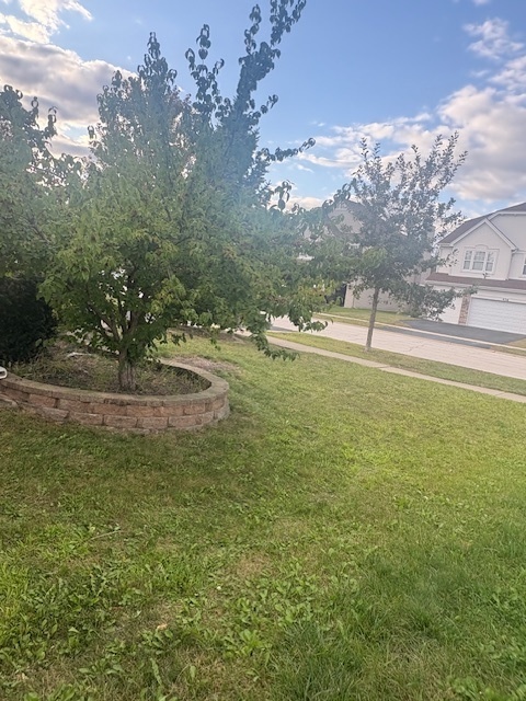 479 W Butterfield Lane, Round Lake, IL 60073