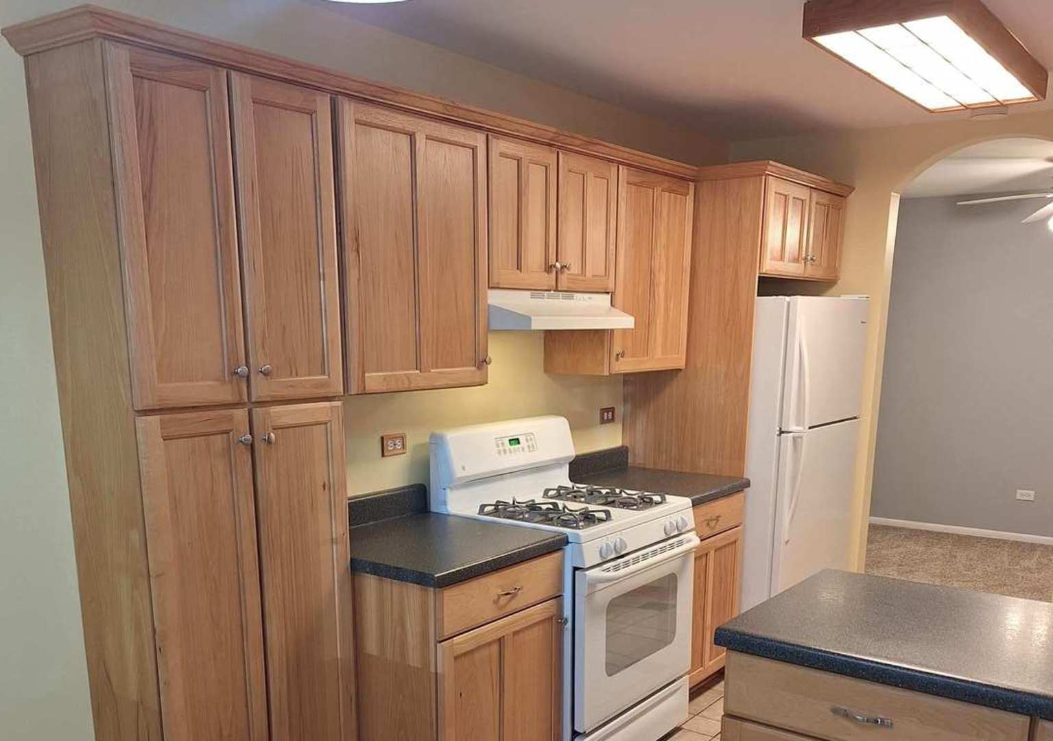 4242 Pheasant Trail Court #1, Arlington Heights, IL 60004
