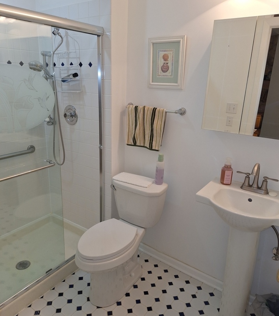 4242 Pheasant Trail Court #1, Arlington Heights, IL 60004