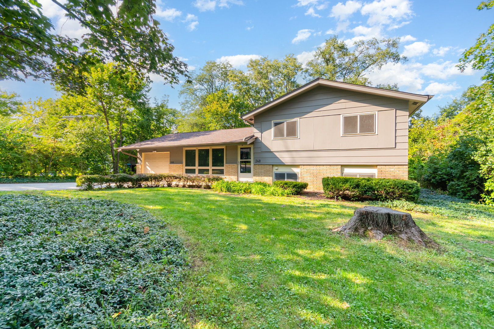 248 41st Street, Downers Grove, IL 60515