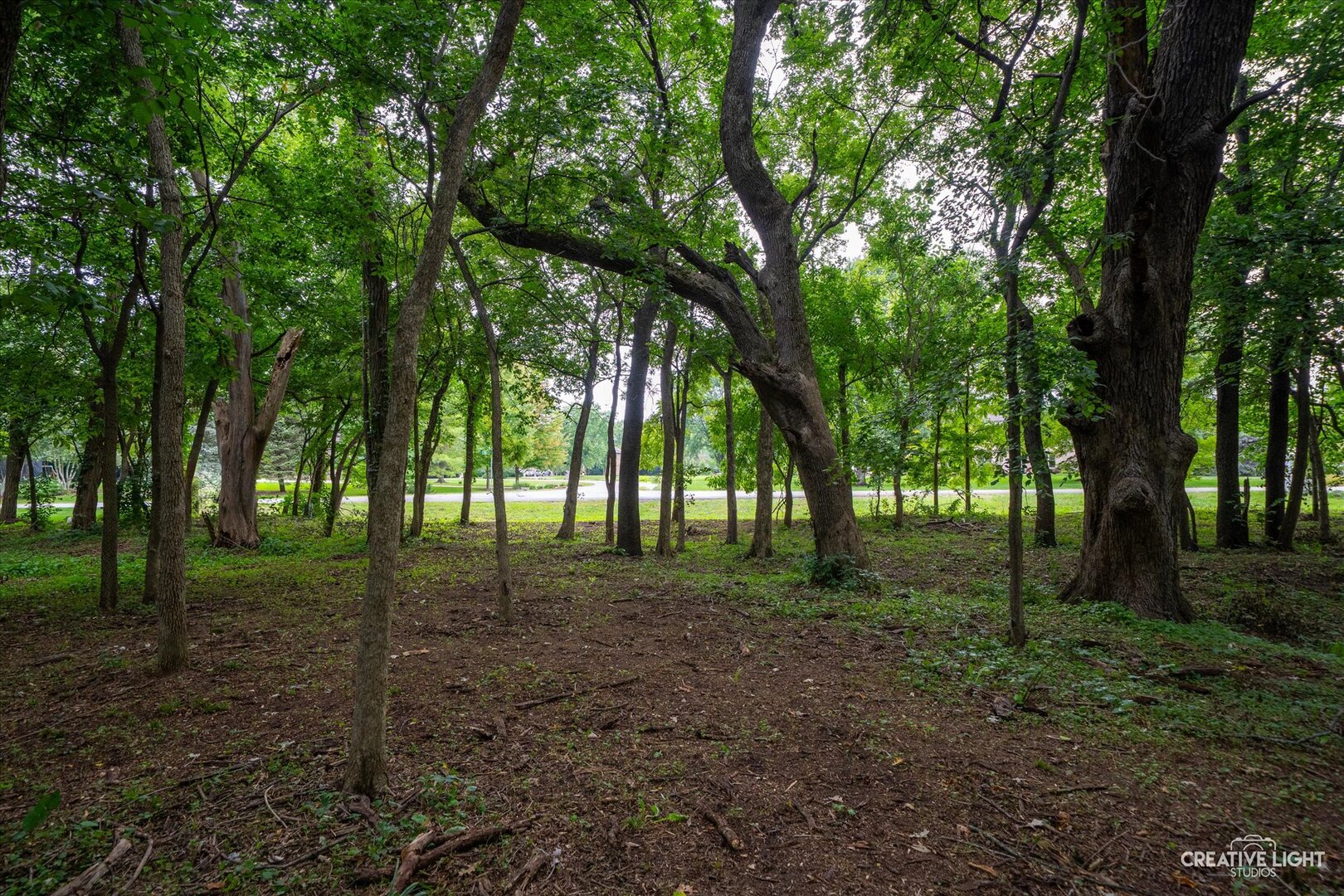 Lot 17 Timber Ridge Drive, Yorkville, IL 60560