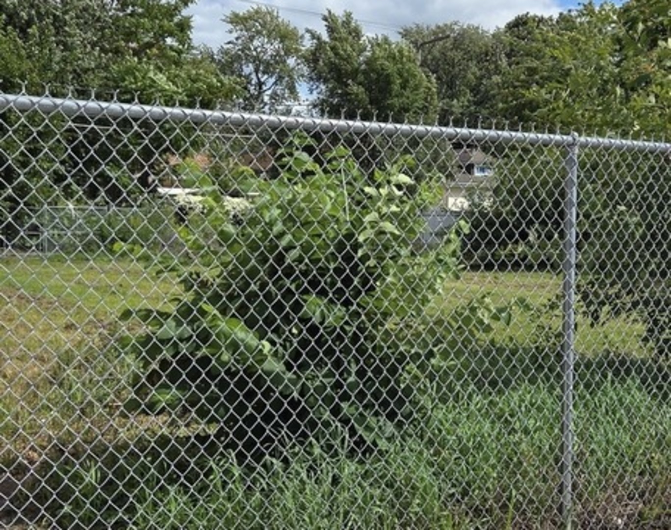 12321 S Halsted Street, Chicago, IL 60628