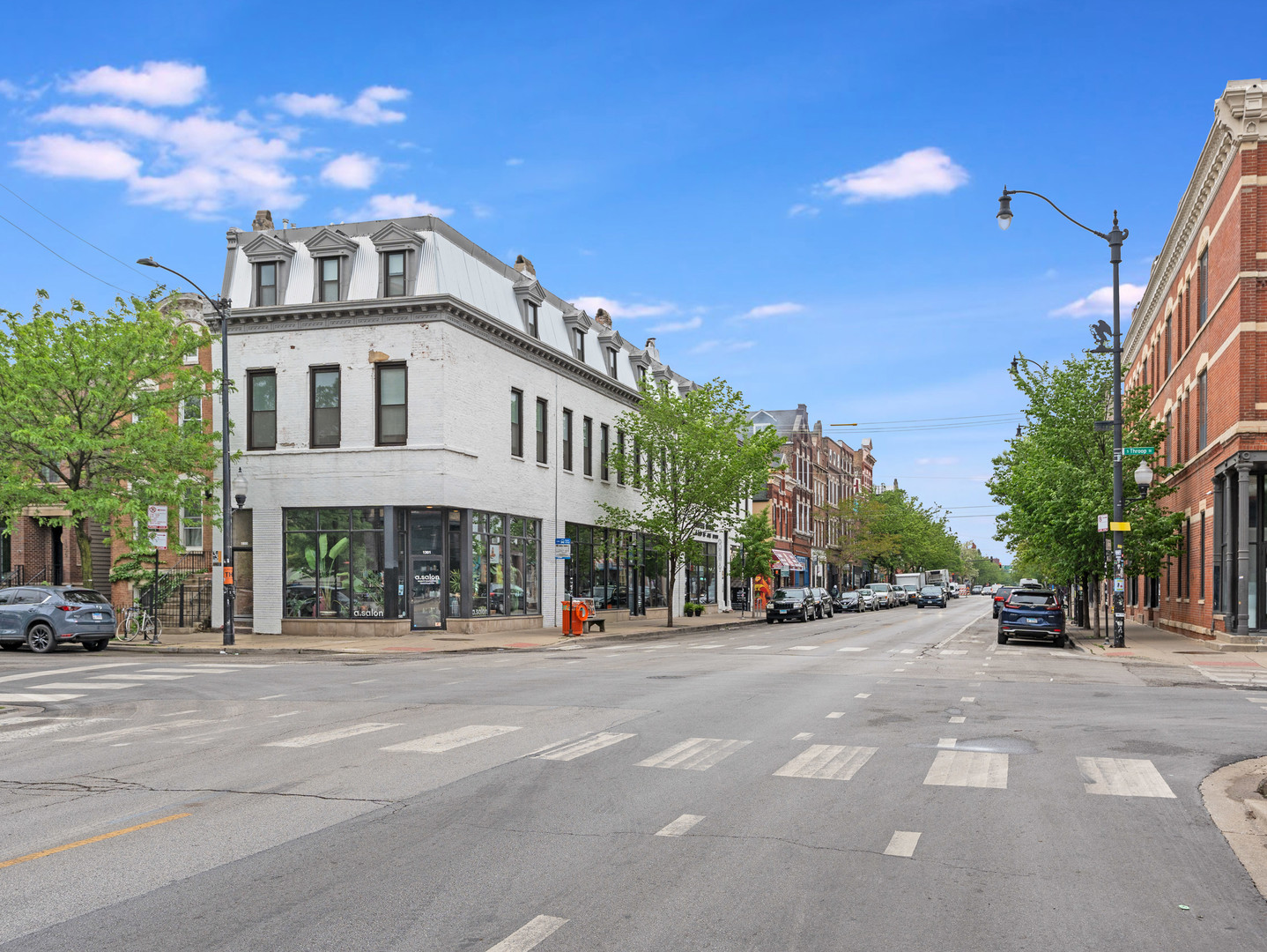1707 S Jefferson Street #1, Chicago, IL 60616