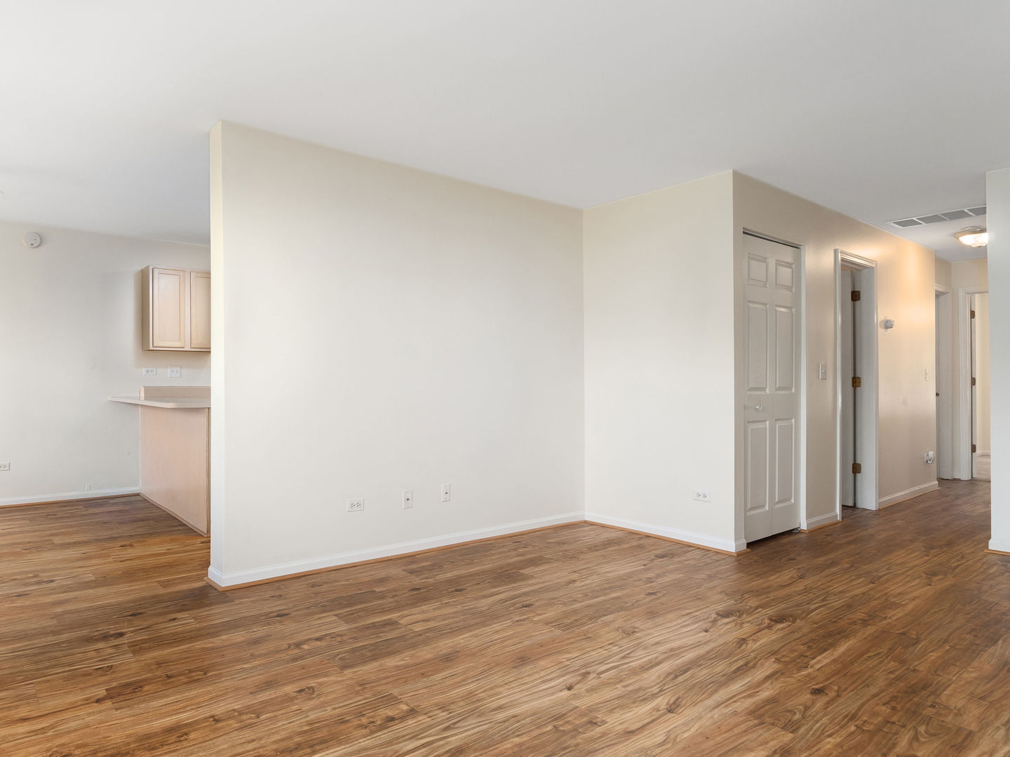 1000 Radclyffe Court #B, Elgin, IL 60120