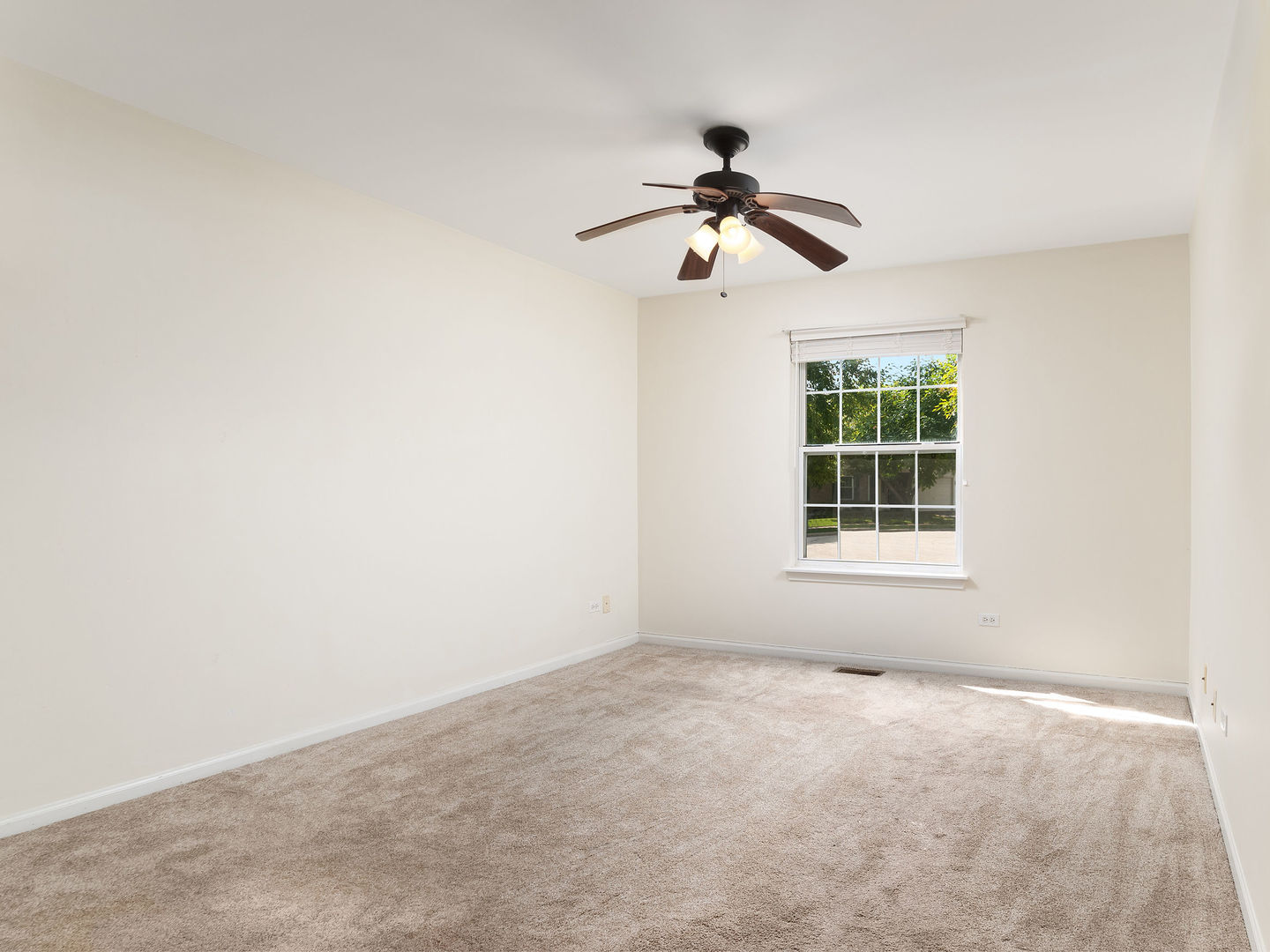 1000 Radclyffe Court #B, Elgin, IL 60120