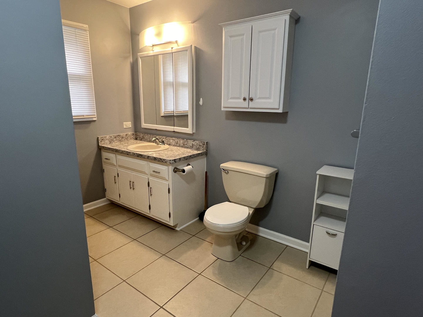 3104 Frank Turk Drive, Plainfield, IL 60586