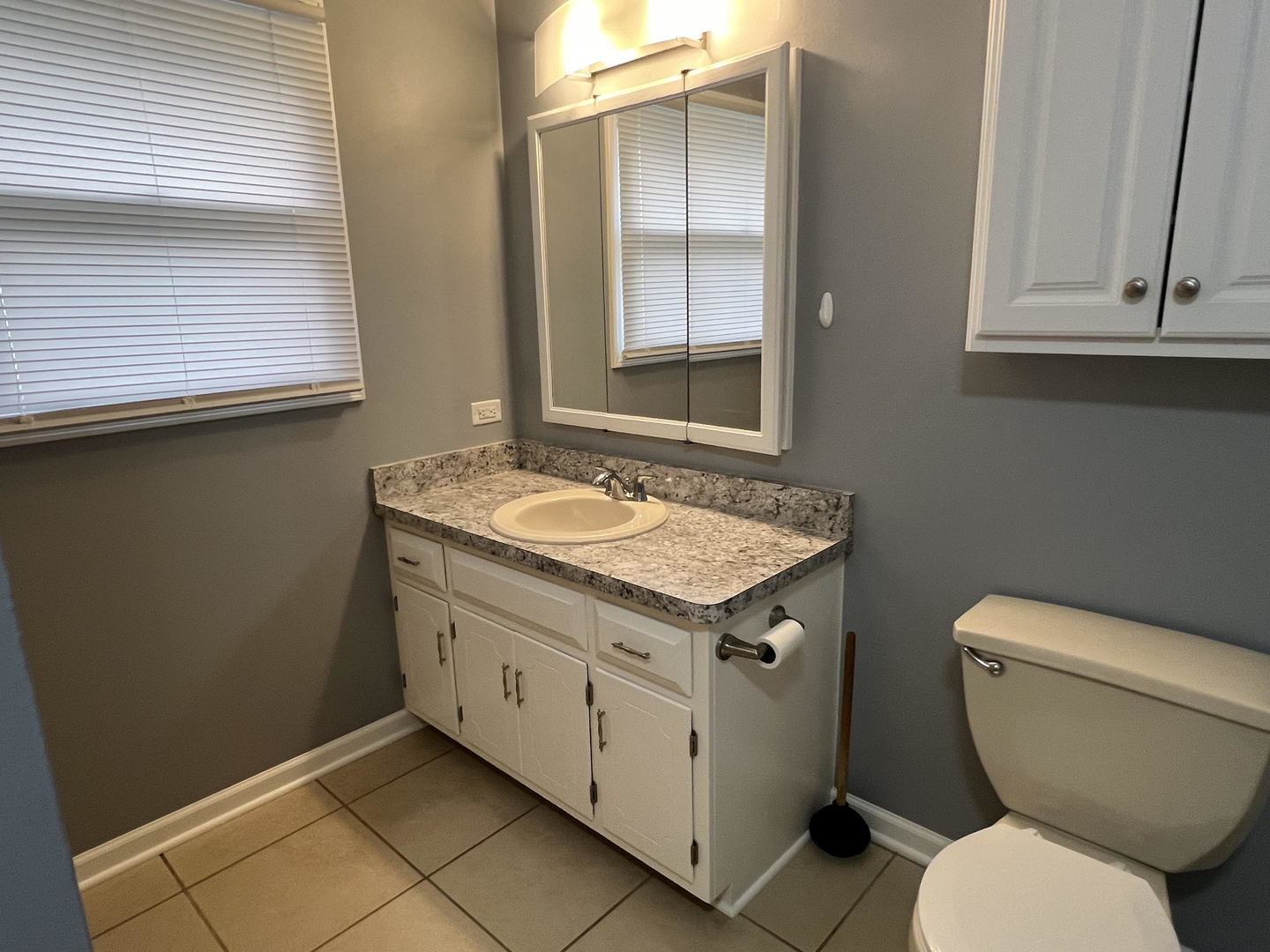 3104 Frank Turk Drive, Plainfield, IL 60586