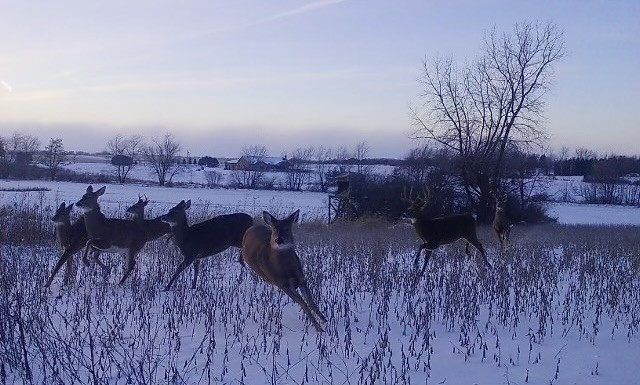 Lot 8 S 80th Avenue, Monee, IL 60449