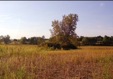 Lot 8 S 80th Avenue, Monee, IL 60449