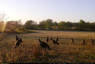 Lot 8 S 80th Avenue, Monee, IL 60449