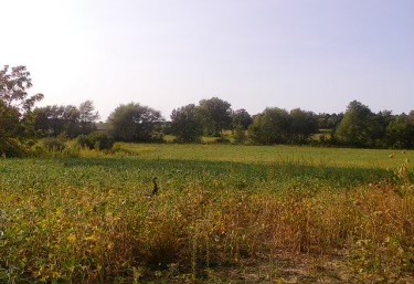 Lot 8 S 80th Avenue, Monee, IL 60449