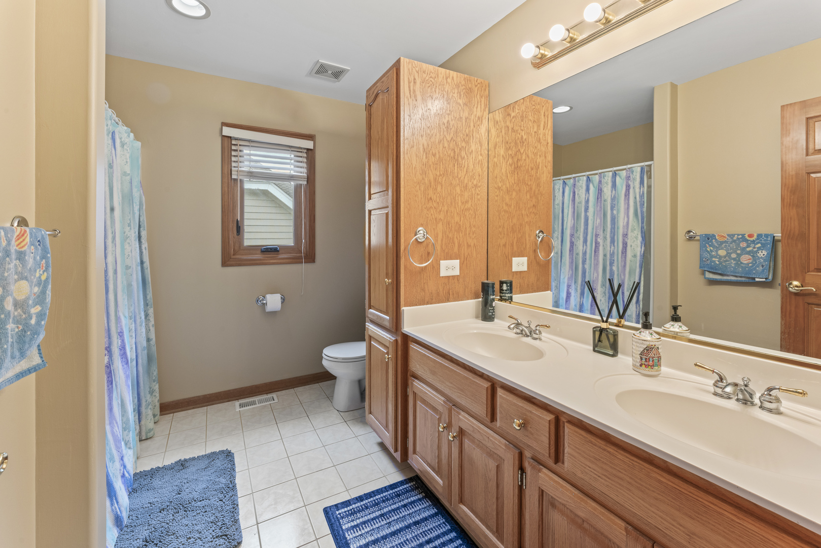 2524 Freeland Court, Naperville, IL 60564