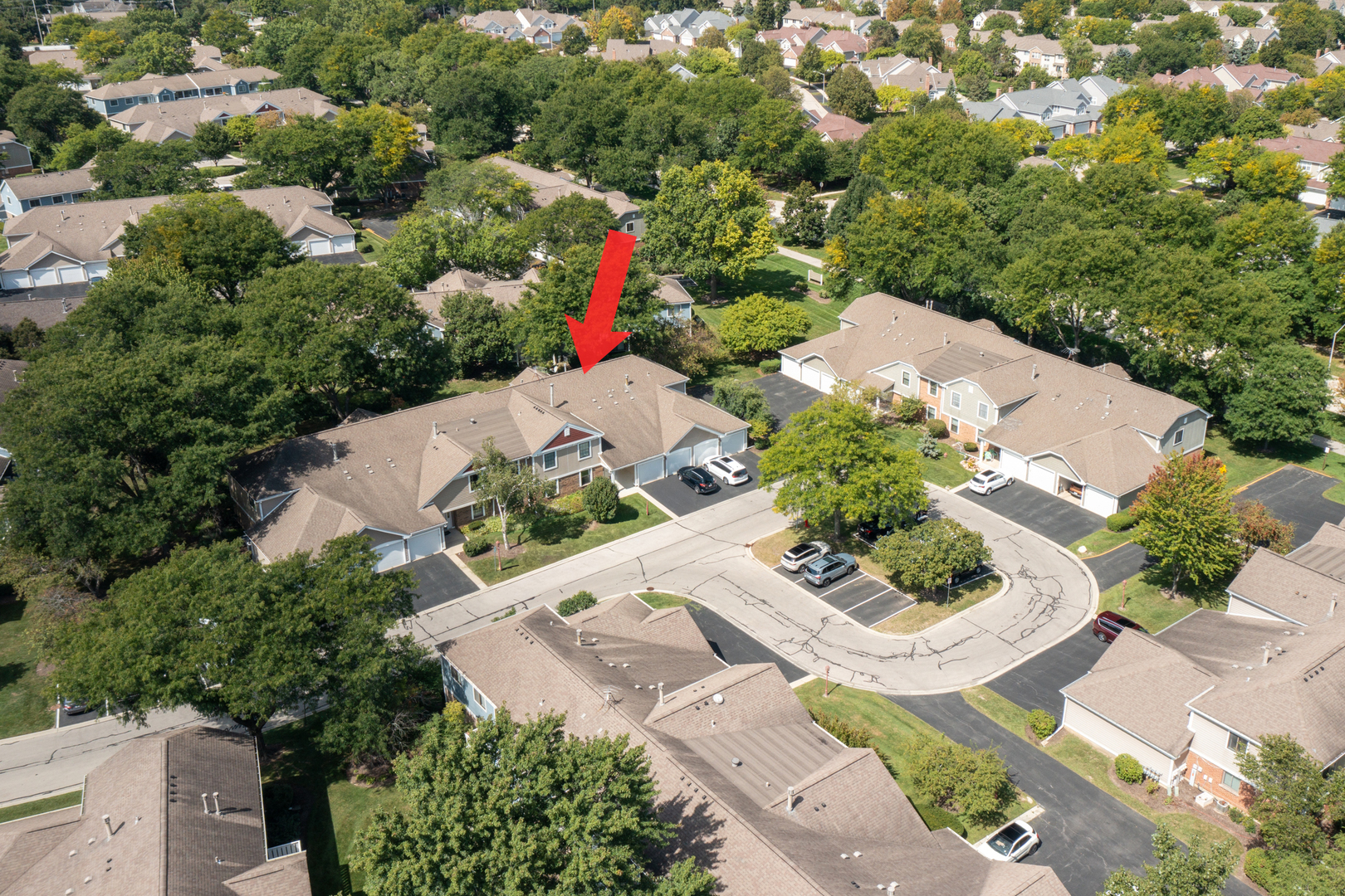 232 Driftwood Lane #D-1, Schaumburg, IL 60193
