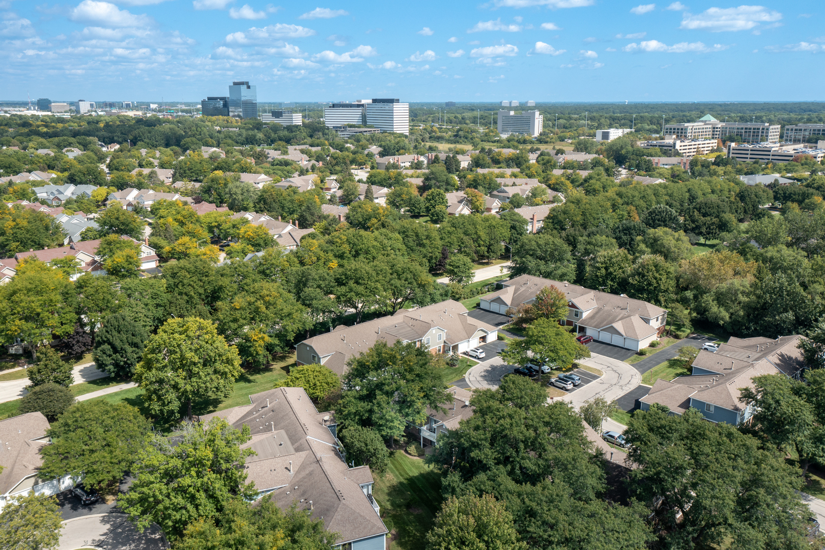 232 Driftwood Lane #D-1, Schaumburg, IL 60193