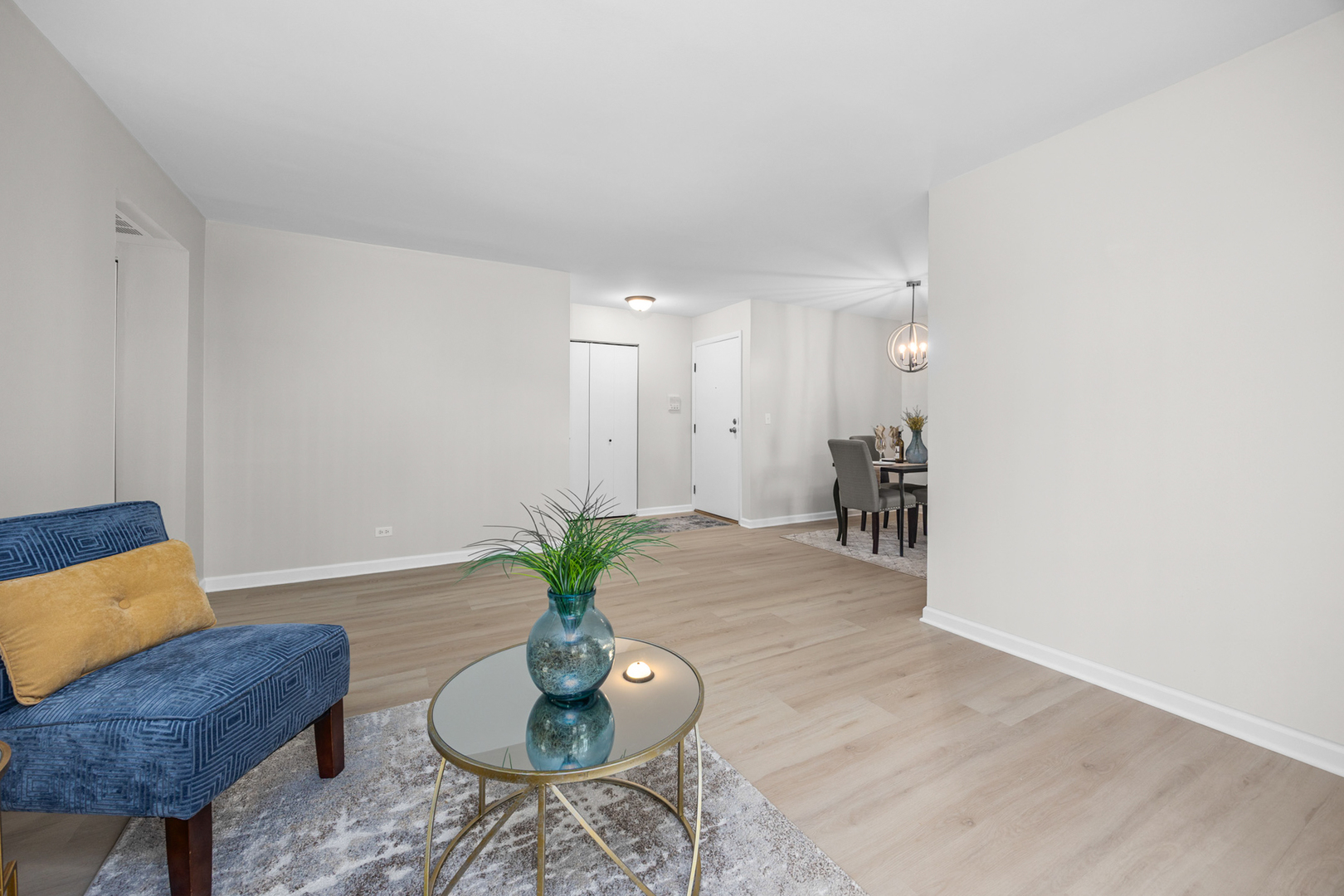 232 Driftwood Lane #D-1, Schaumburg, IL 60193