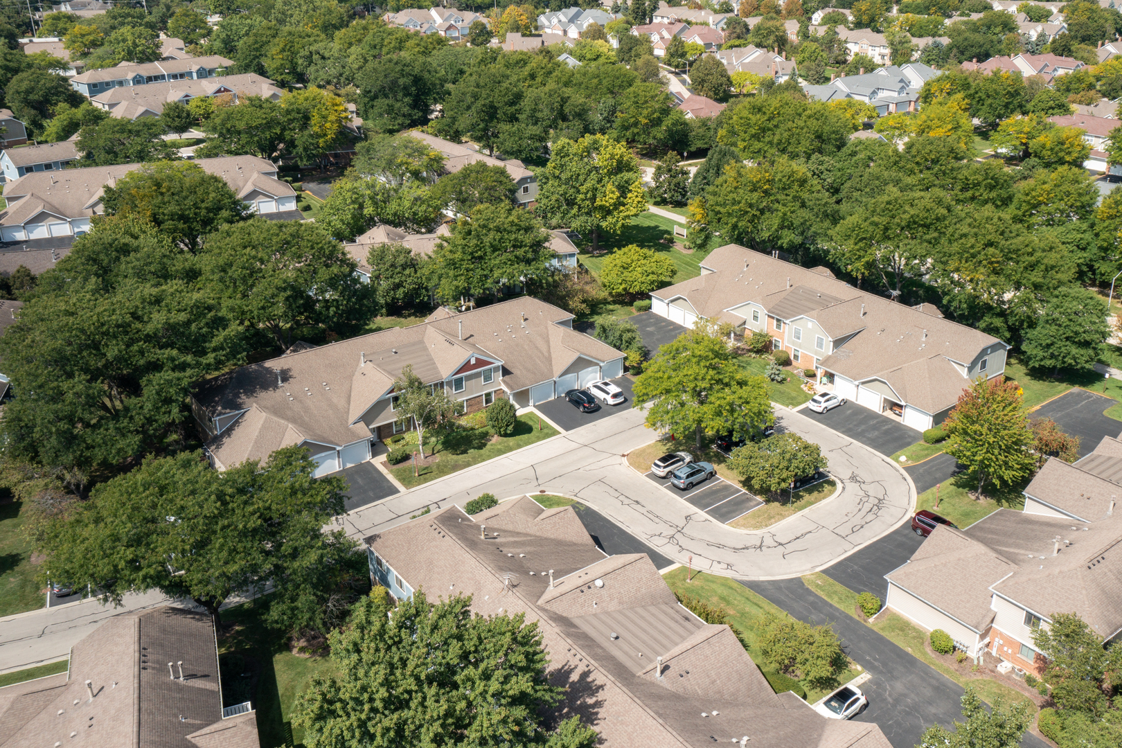 232 Driftwood Lane #D-1, Schaumburg, IL 60193