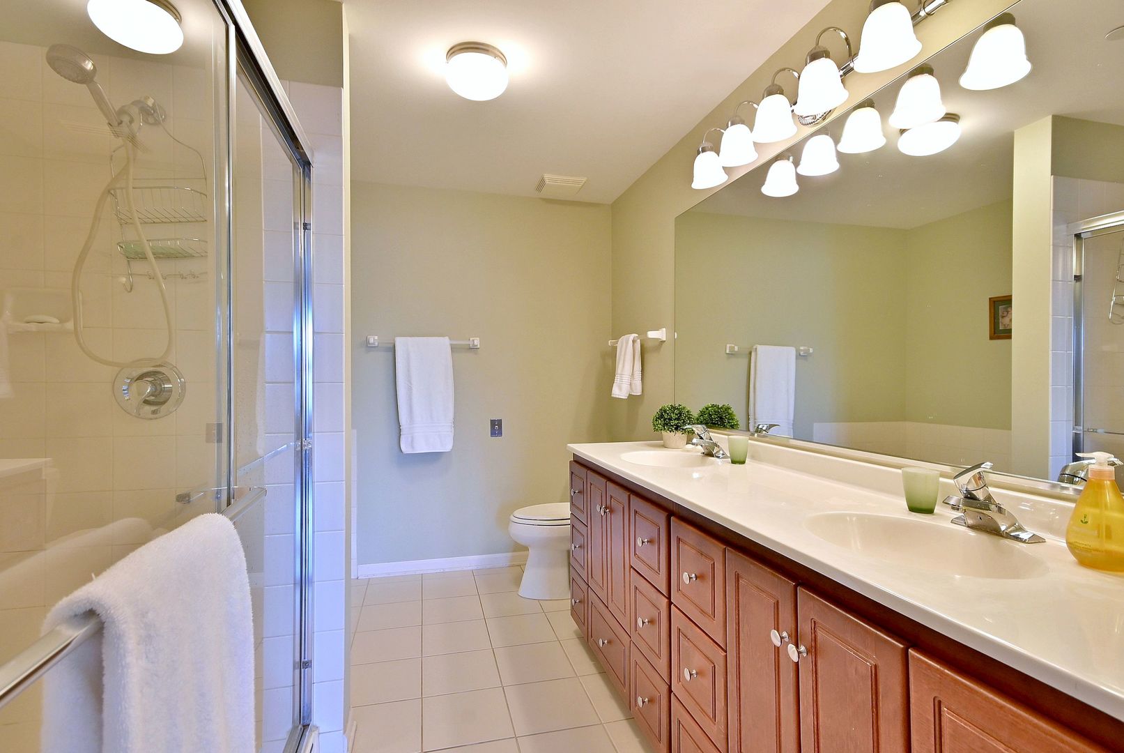 131 W Adelaide Street #307, Elmhurst, IL 60126