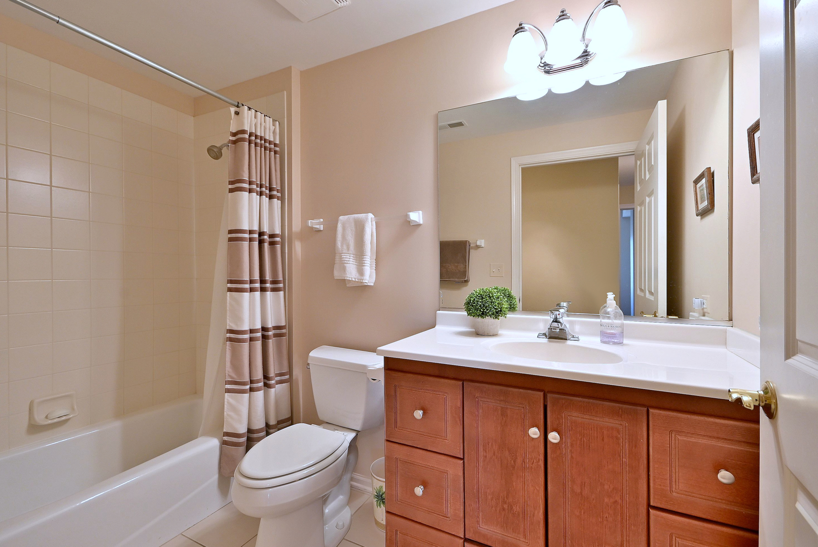 131 W Adelaide Street #307, Elmhurst, IL 60126